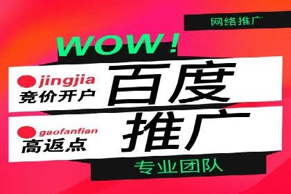 某电商平台的SEM专员营销策略
